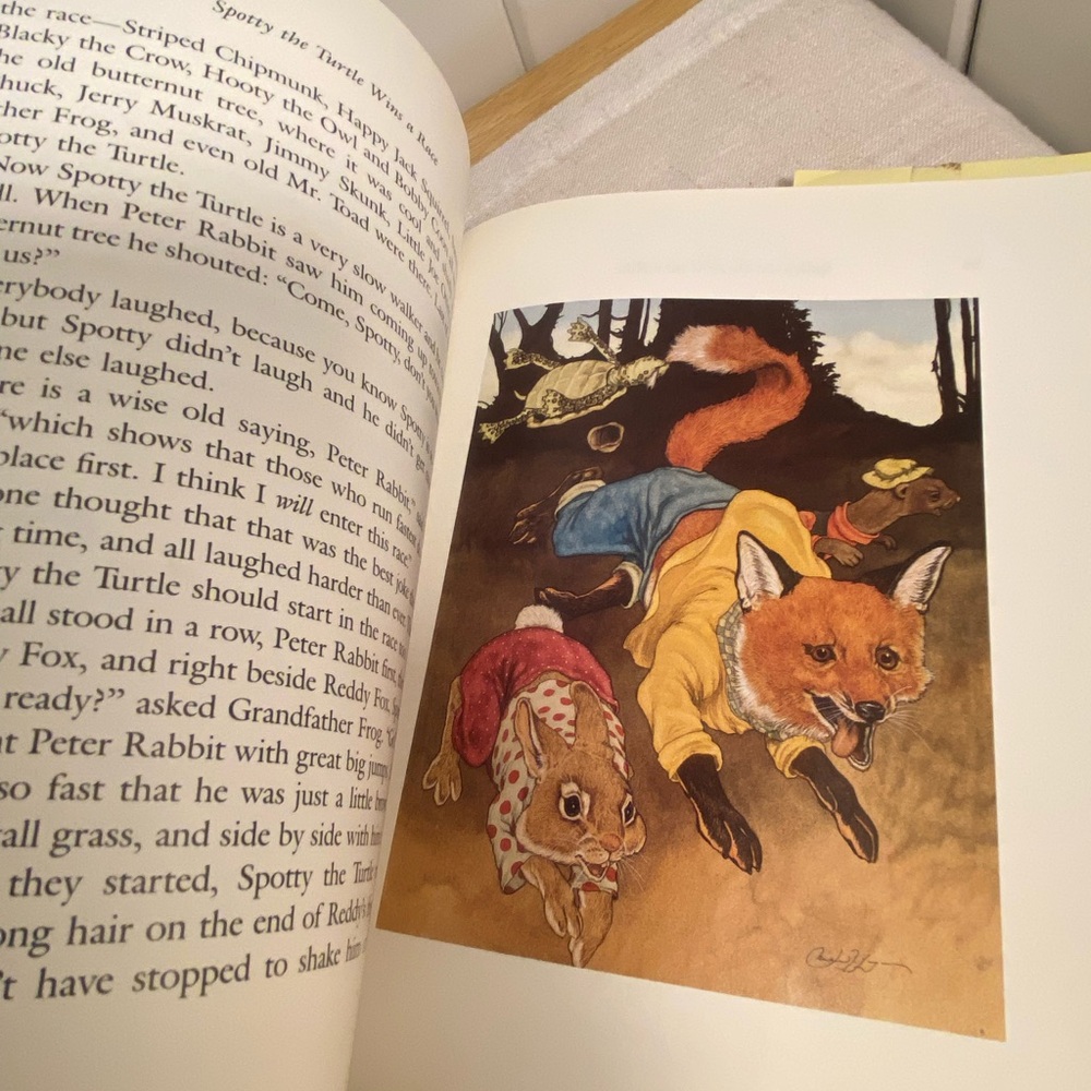 Old Mother West Wind Book vintage kids book Thornton W Burgess Michael Hague 90s - Picture 16 of 17